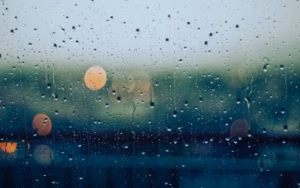 gabriele diwald kwi60pbam9i unsplash