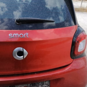 Smart Fortwo 2015: αριστερό πεντάλ γκαζιού 4 DISP007 SMART FORTWO 02